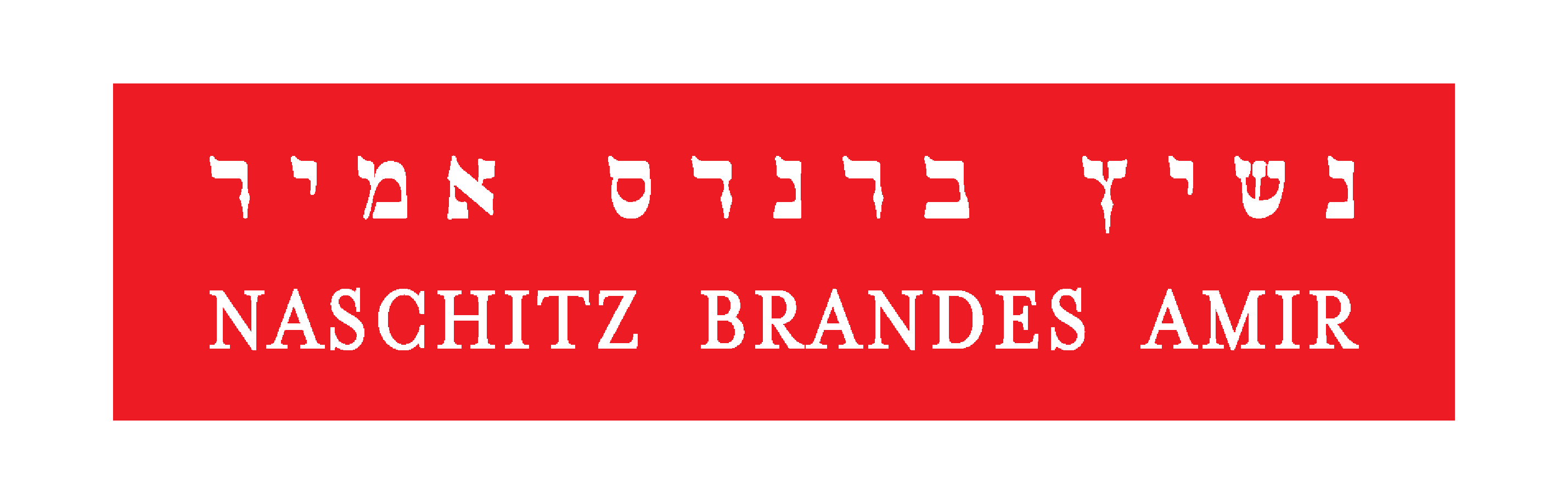 Naschitz Brandes Amir